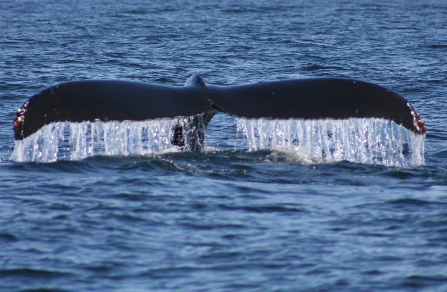 Los Haitises National Park - Aquatic Tour